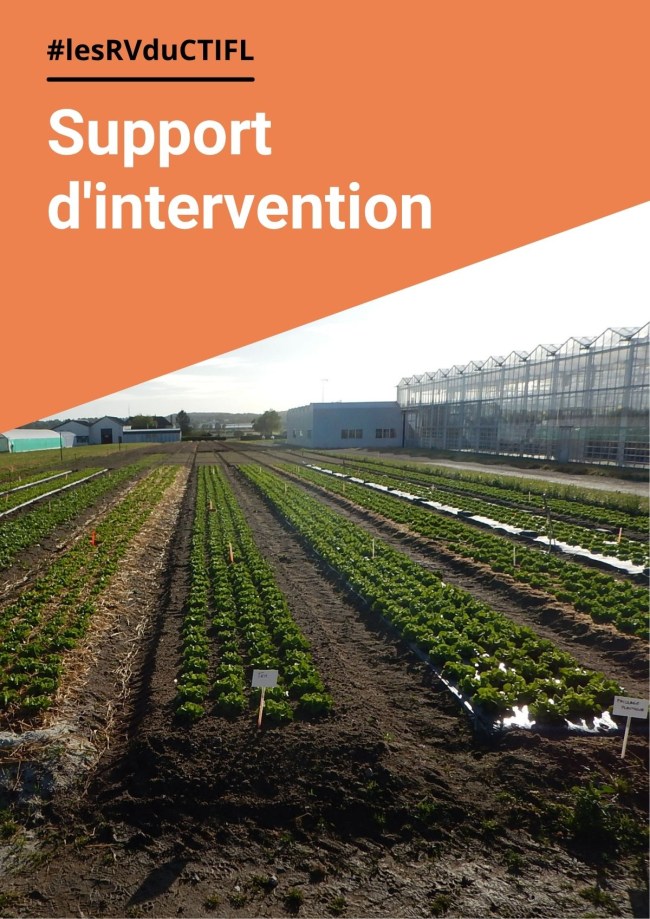 Conduite économe en énergie en culture de tomate Conduite économe en énergie en culture de tomate