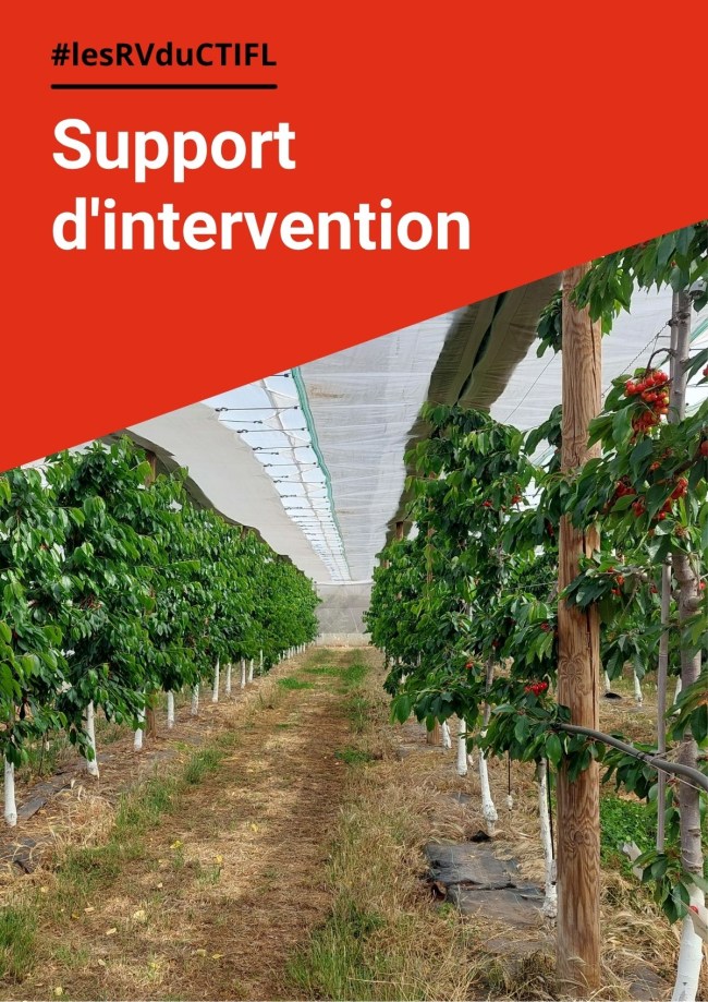 EUFRIN cerise : évaluation européenne de 12 porte-greffe EUFRIN cerise : évaluation européenne de 12 porte-greffe