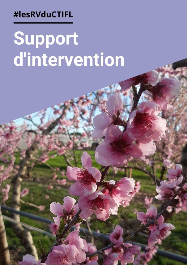 Évaluation variétale pêche/nectarine en bas-intrants phytosanitaires : présentation des observations 2025