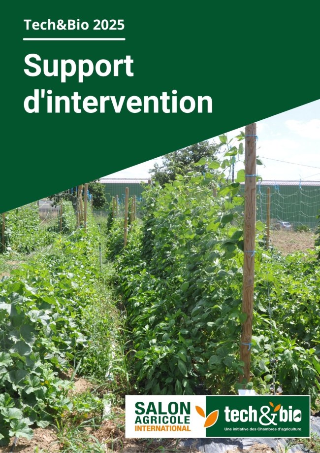 Plantes de services pour la régulation des pucerons : succès, opportunités et pièges à éviter Plantes de services pour la régulation des pucerons : succès, opportunités et pièges à éviter