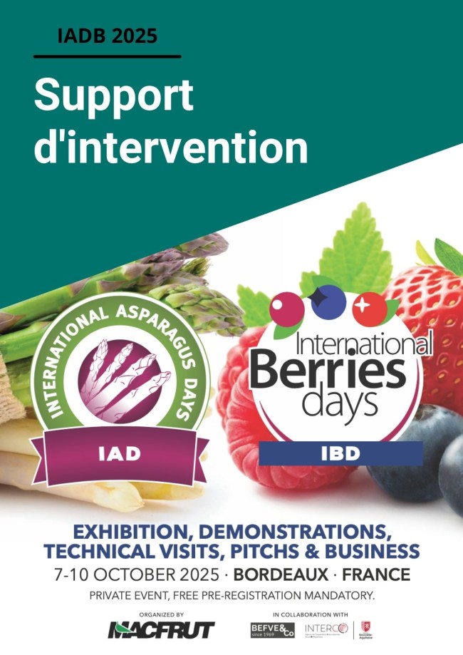 Fertilisation et gestion des pucerons en fraise hors-sol Fertilisation et gestion des pucerons en fraise hors-sol