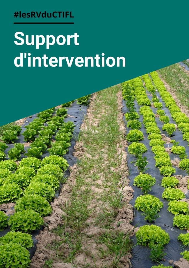 Session 4 - PAUPFL, synthèse des enseignements sur les actions légumières