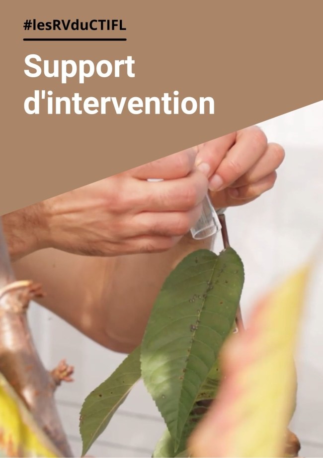 Pink fly, a green soultion employed in Québec