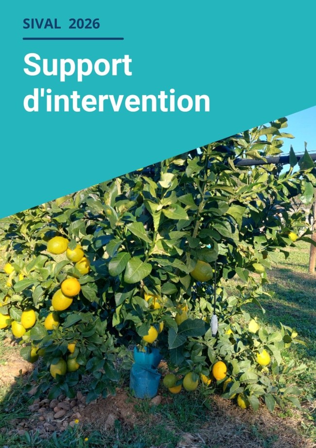 Produire des agrumes en Occitanie dans un contexte de changement climatique - Projet MAGMA