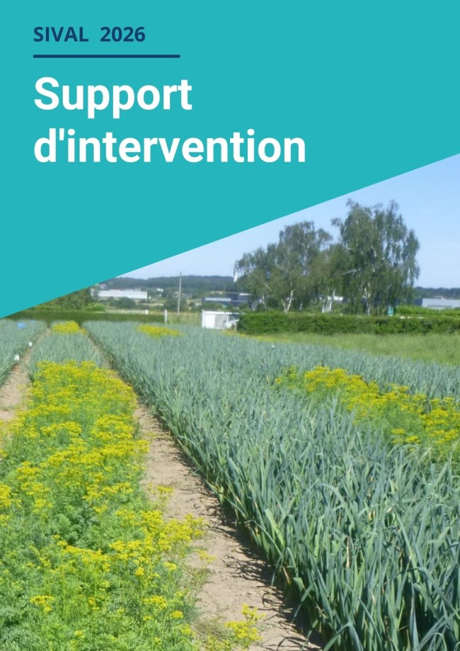 Entretiens techniques Légumes : Mise en place et pilotage de stratégies de lutte biologique par conservation pour protéger efficacement les cultures légumières contre les pucerons