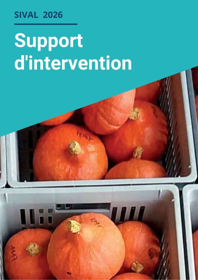 Potimarron : quand l'eau chaude devient la clé d'une meilleure conservation