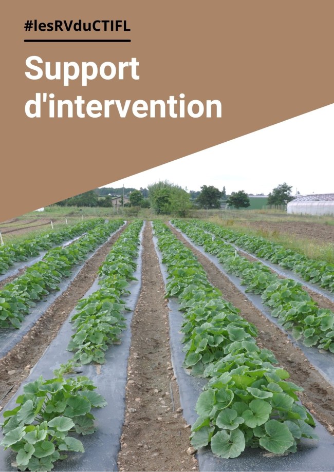 Utilisation d'un système bioclimatique en culture de tomate précoce sous abris froid