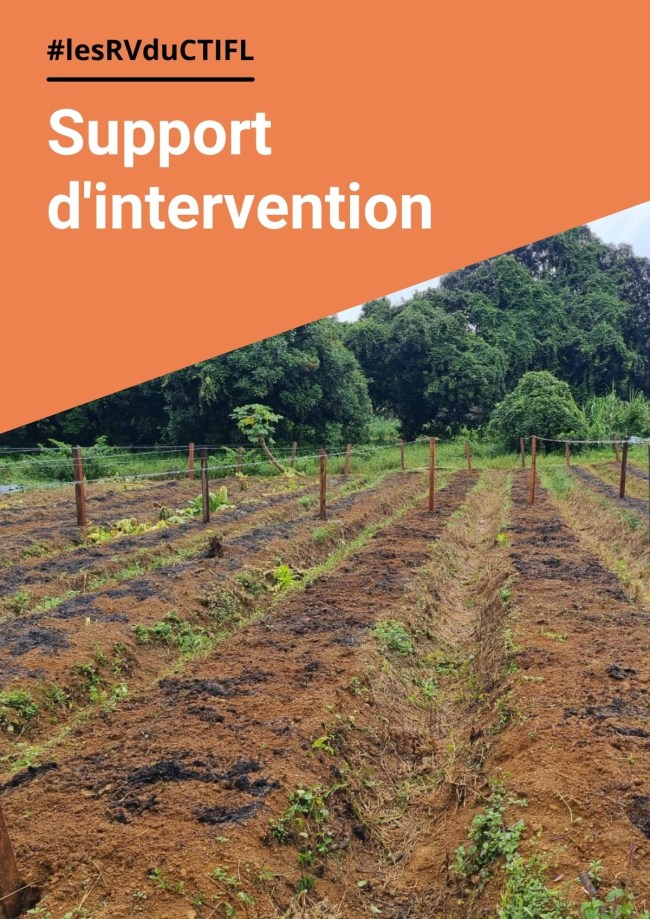 Alternatives aux herbicides en maraîchage de plein champs : le faux semi