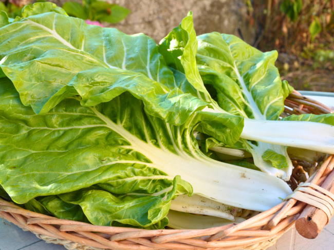 La blette : un légume-feuille à valoriser