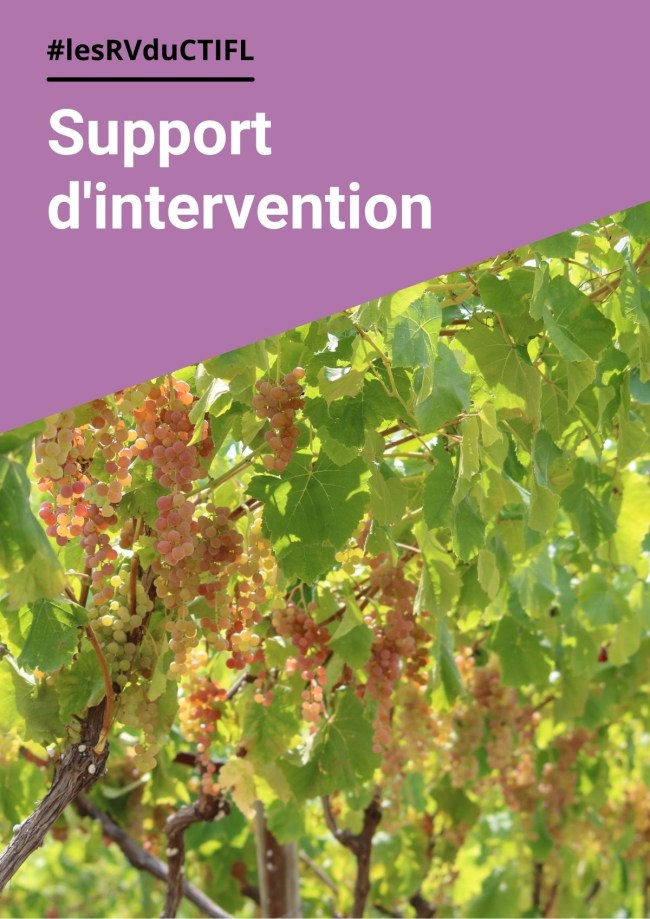 Suivi de la sélectivité des spécialités phytosanitaires homologuées pour le raisin de table