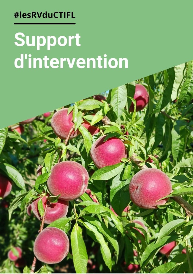 Premier bilan de la saison pêches-nectarines 2026