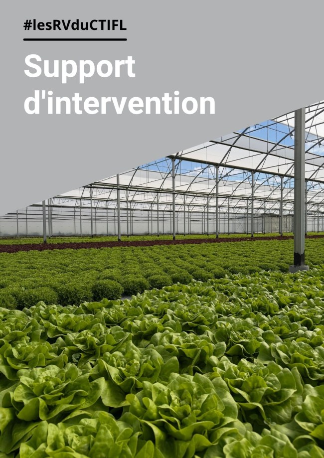 Les enjeux de la salade 4ème gamme