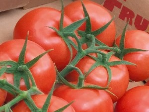 Variétés grappes : Faites votre choix