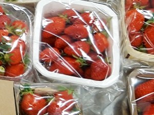 Tests d'efficacité et de tenue des fraises
