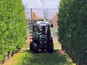 Les méthodes développées dans le projet PulvArbo