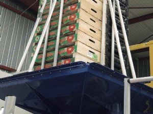Impact des chocs et des vibrations sur la qualité des fraises au cours du circuit logistique