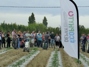 Gestion de l'enherbement - des combinaisons de leviers remarquables