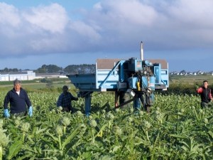 Démarches Qualité et RSE de la filière des fruits et légumes, les tendances 2022