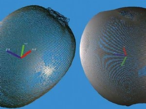 Tri non destructif des fruits par mesure de la densité 
