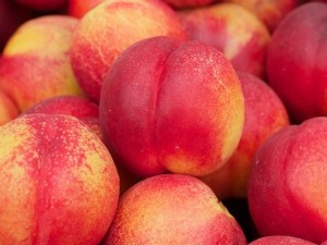 Nectarine : relation entre densité à la récolte et qualités organoleptique et nutritionnelle 