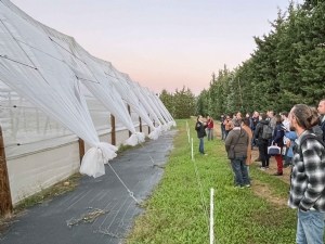 Rencontre Technique Protection des vergers de cerisiers contre  Drosophila suzukii 