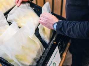 Endive : performances des emballages innovants 