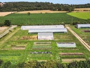 Maraîchage intensif sur petites surfaces, accompagner la réflexion des porteurs de projet 