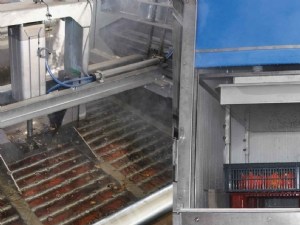 Désinfection à l'eau chaude pour allonger la durée de conservation du potimarron 