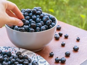 Attentes consommateurs et qualité nutritionnelle : les atouts de la myrtille 