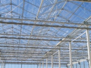 Vers un outil d'aide à la décision pour décarboner les serres en Europe 