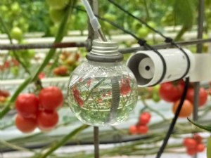 Des capteurs microclimatiques pour caractériser les risques de condensation sur organes 