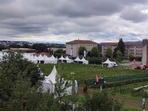 Tech&bio, le salon incontournable de l'agriculture biologique et des techniques alternatives 