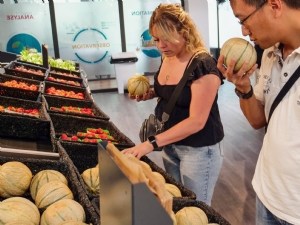 Effet de la dégustation sur les comportements d'achat du melon 