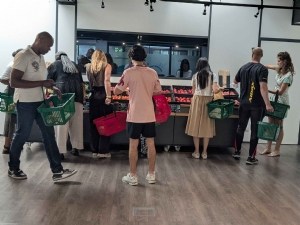 Variation du linéaire d'abricot : quel impact sur les achats en pleine saison 