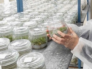 Ceci est un exemple de publication Ceci est un exemple de publication 