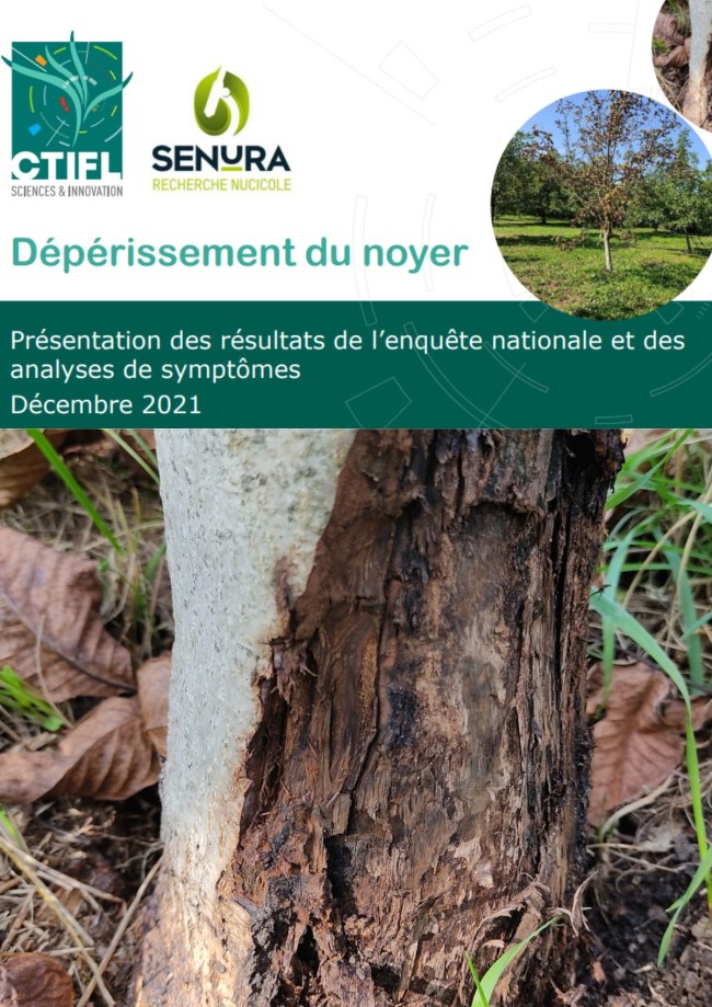 Dépérissement du noyer : présentation des résultats de l’enquête nationale et des analyses de symptômes<br> Dépérissement du noyer : présentation des résultats de l’enquête nationale et des analyses de symptômes<br>
