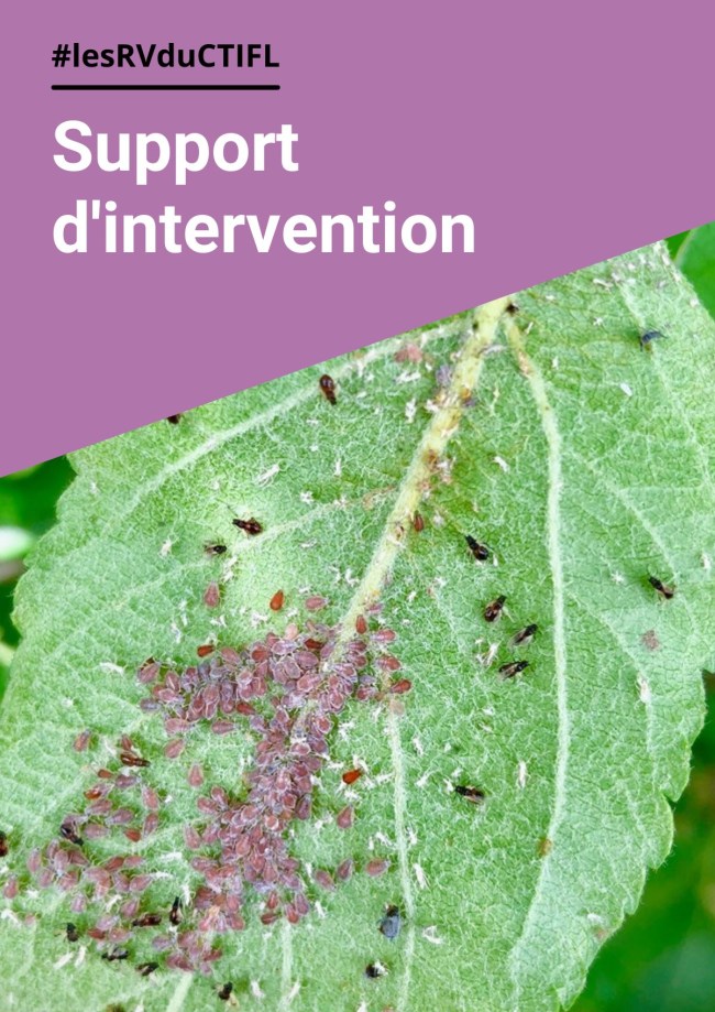 Projet ArboPhytoRed : Enjeux et problématiques de la protection contre le puceron en arboriculture Projet ArboPhytoRed : Enjeux et problématiques de la protection contre le puceron en arboriculture