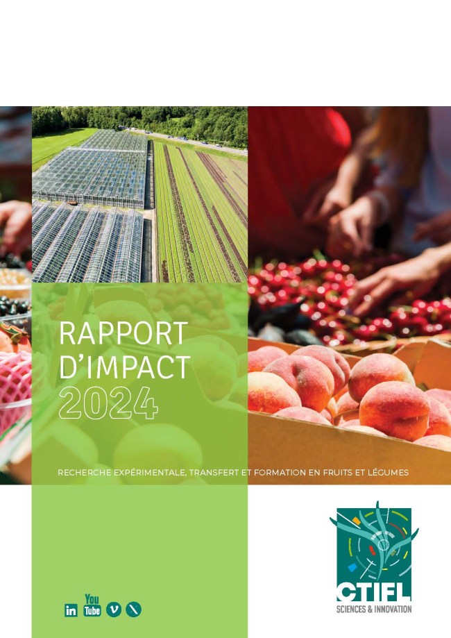 Rapport d'impact 2024