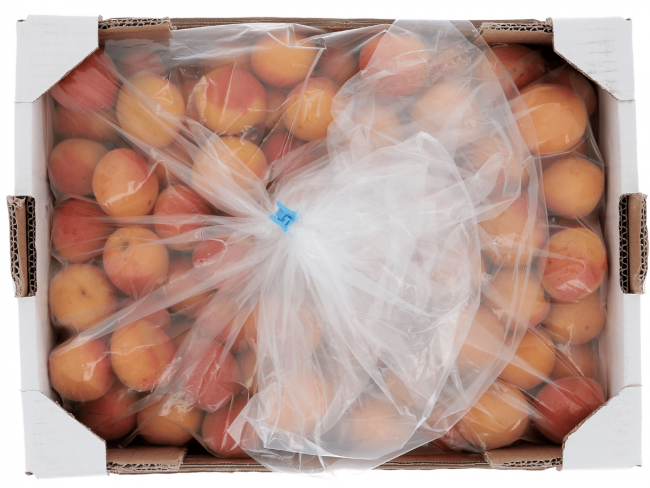 Emballage et export des abricots
