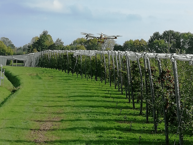 Pulvérisation par drone en arboriculture - Pulvedrone