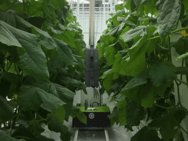 Comparaison de systèmes robotisés de traitements lumineux à base d'UV - UV-Robot