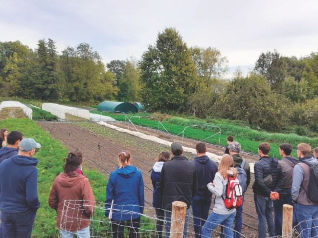 DEPHY Ferme Légumes