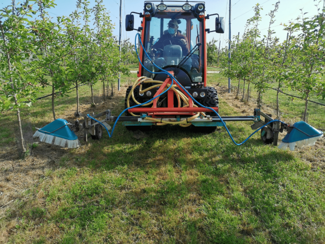 Désherbage en arboriculture : état des lieux et évolution en contexte de restrictions réglementaires