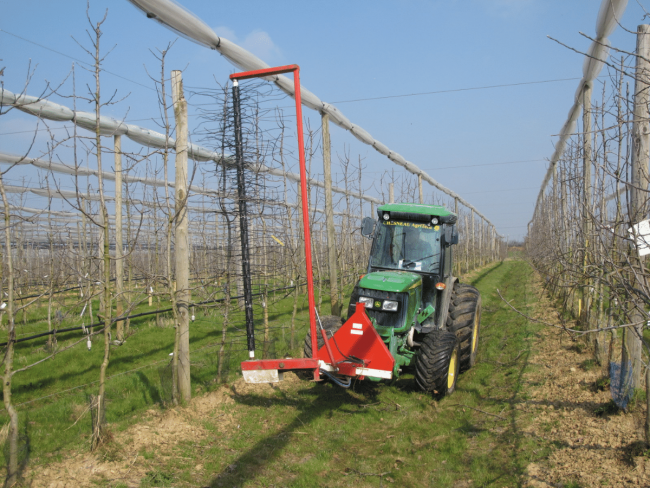 Maîtriser la charge de l'arbre en agrobiologie