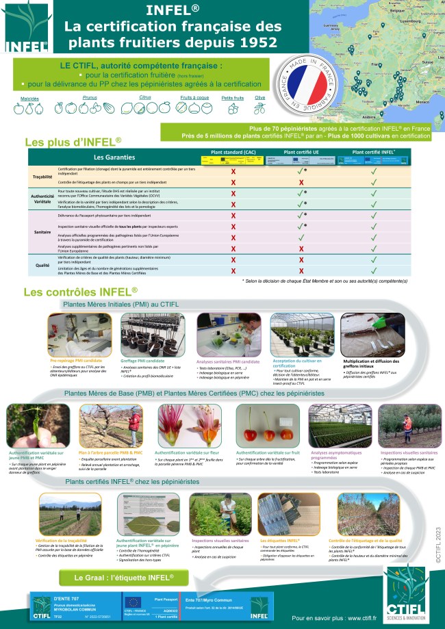 INFEL® La certification française des plants fruitiers depuis 1952