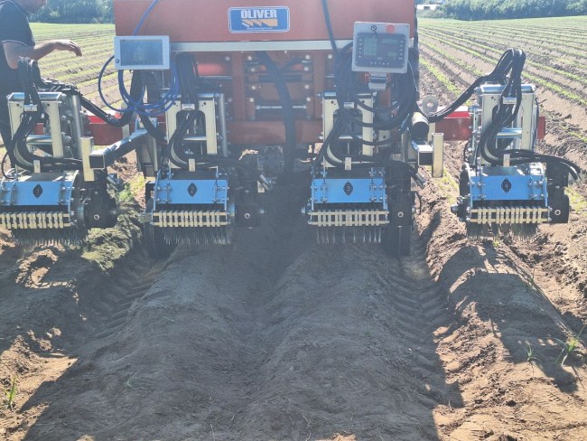 NOR-DIC - NORmandie : Désherbage Innovant de la Carotte 