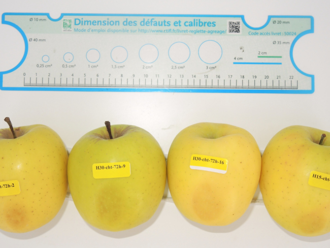 Sensibilité des fruits et légumes à la déshydratation et aux meurtrissures