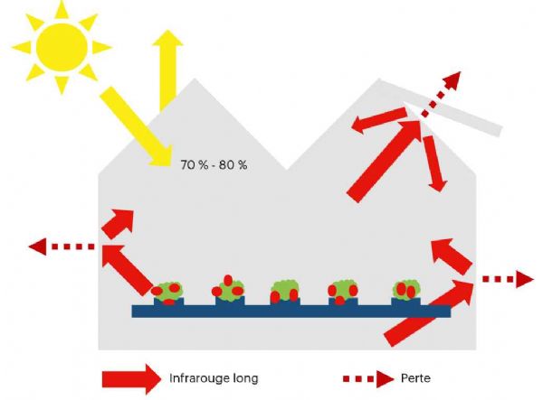 Figure 1 : Schéma de l'effet de serre