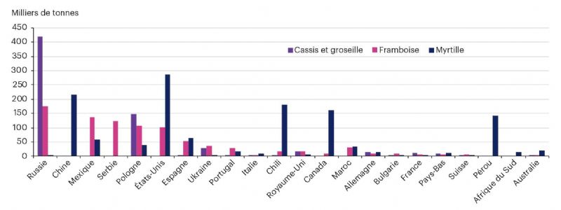 Figure 1 : Principales productions mondiales de petits fruits rouges (pour le marché du frais et de la transformation, moyennes 2018-2020)