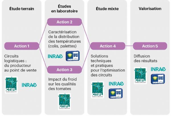 Figure 1 : Schéma d'organisation du projet FreshQualiTom